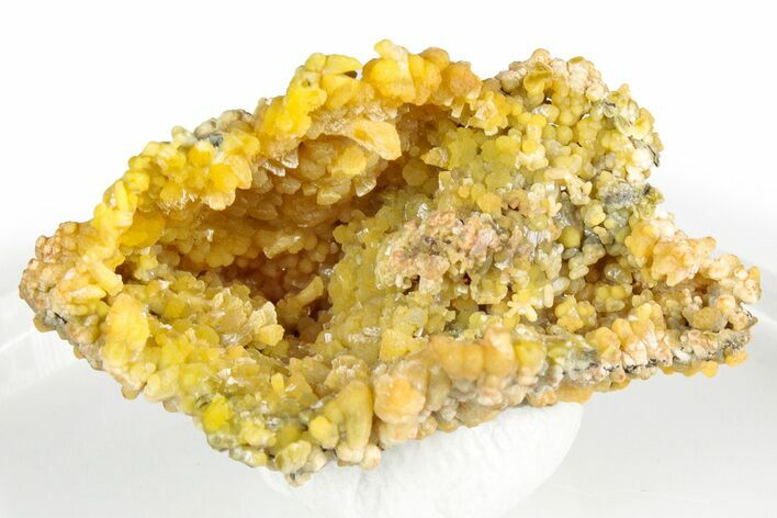 Vibrant Yellow Mimetite Crystal Cluster - Congo #346172